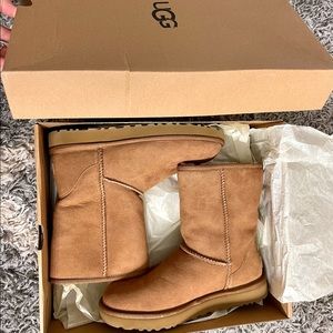 Women’s Classic Short II UGG Chestnut